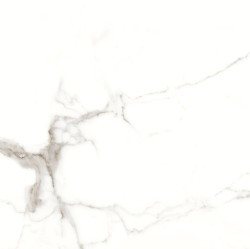 Calacatta Royal керамогранит сатинированый 60х60 - фото