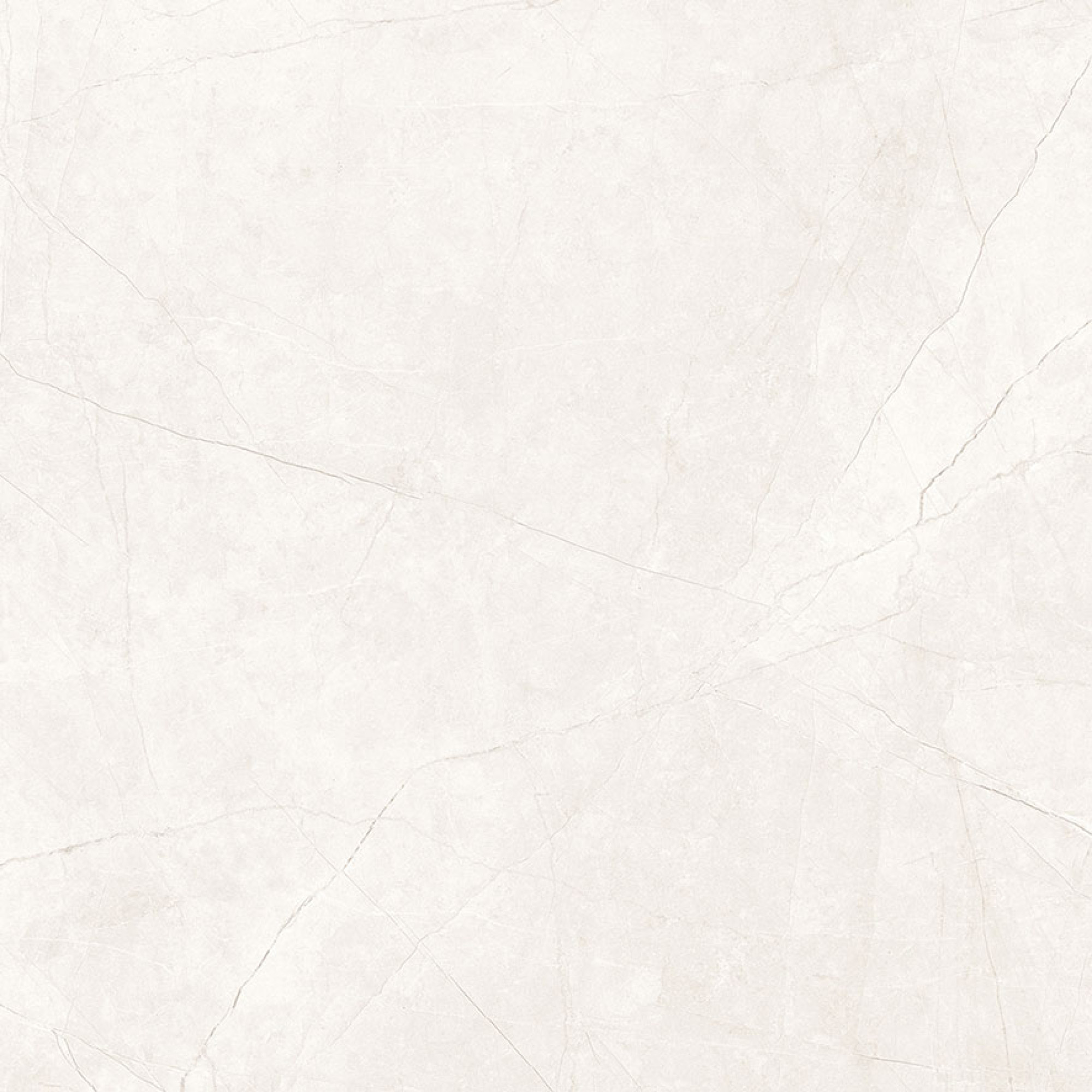 Splash Bianco керамогранит карвинг 60x60 - фото