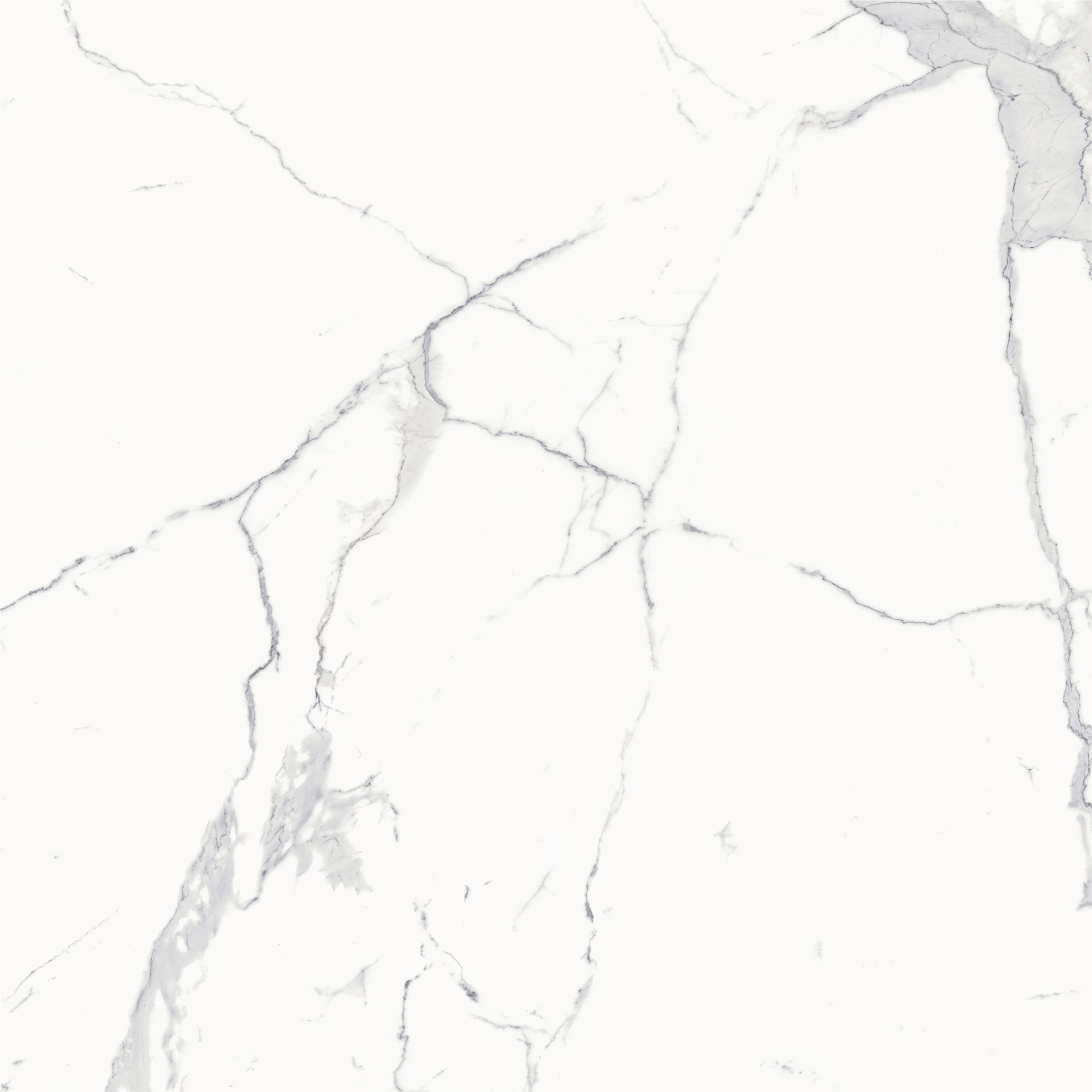 Керамогранит Статуарио Уайт Натуральный 120x120 - фото2