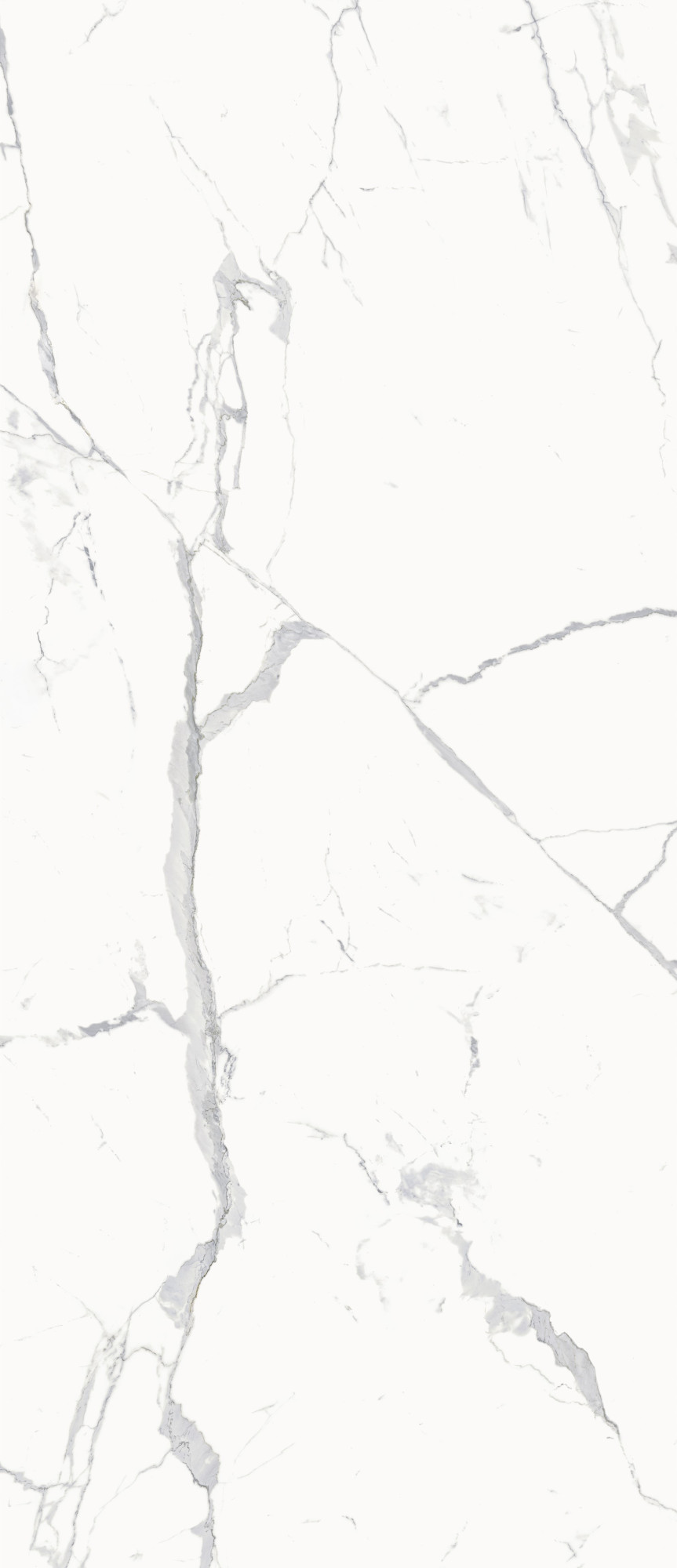 Керамогранит Статуарио Уайт Натуральный 120x278 - фото