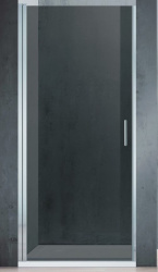 Душевая дверь Adema NAP-80 80x195 000001081 (Нидерланды) - фото